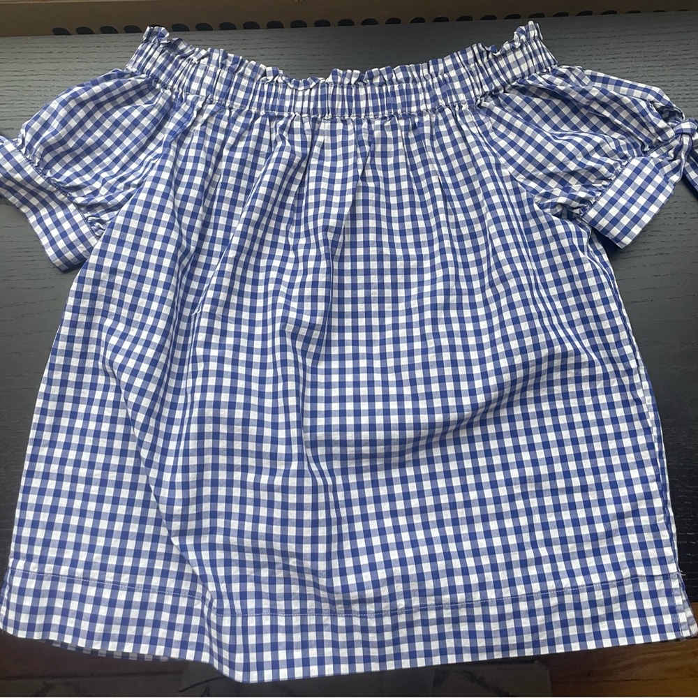 J. Crew Blue and White Gingham Ruffle Top